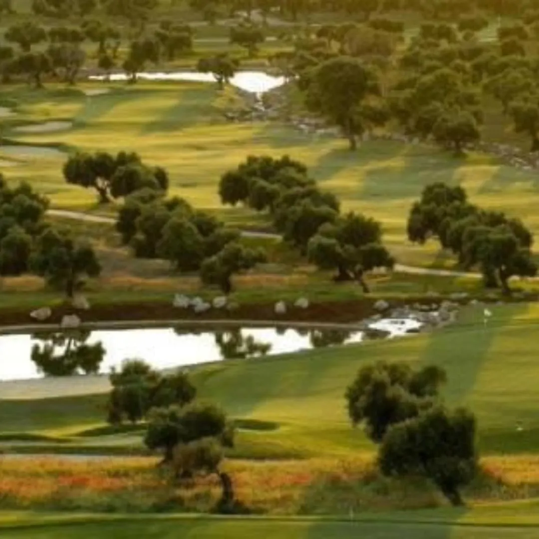 Calle Larga 48 Golf Incluido Jerez de la Frontera 0*,